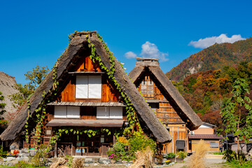Fototapeta na wymiar Shirakawa-go, Japan. Traditional wooden houses 