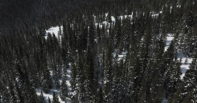 Tilting shot of ski tracks on berthoud pass in colorado