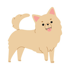 Chihuahua 2 cute on a white background, png illustration.