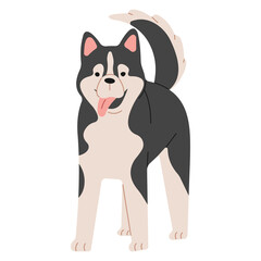 Siberian Husky 1 cute on a white background, png illustration.