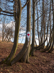 A red heart painted on a tree trunk
