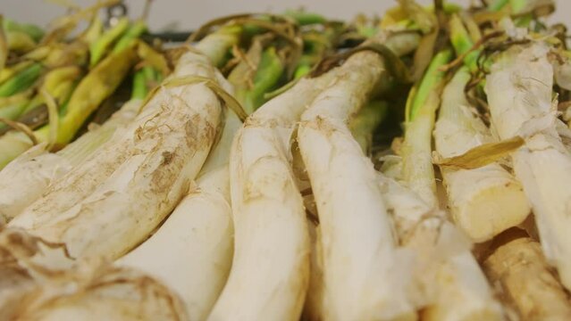 Traditional Spanish catalan green winter onion calcots, spring green season grill barbecue, vegan bbq with fire in Barcelona, Catalonia. Close up of grilling green onion.