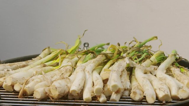 Traditional Spanish catalan green winter onion calcots, spring green season grill barbecue, vegan bbq with fire in Barcelona, Catalonia. Close up of grilling green onion.