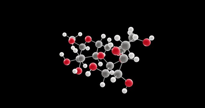 Amylose molecule, rotating 3D model of polysaccharide, looped video on a black background