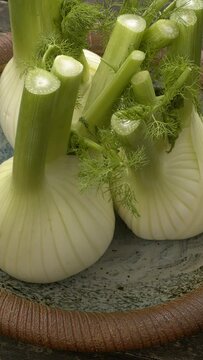 Three fennel vegetable bulbs on a plate. Fresh raw ripe vegetables, table spin. Vertical video.