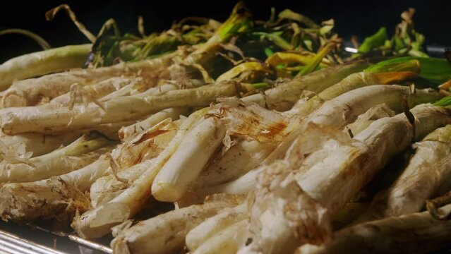 Traditional Spanish catalan green winter onion calcots, spring green season grill barbecue, vegan bbq with fire in Barcelona, Catalonia. Close up of grilling green onion.