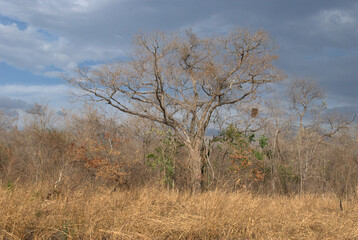 Monta&ntilde;as,paisajes,todo lo que vemos desde nuestra ventana mientras viajamos.