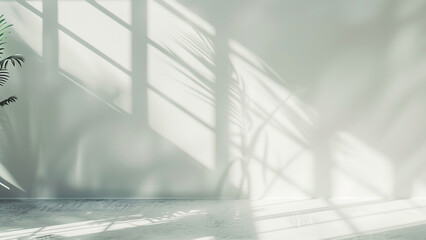 Monotone Elegance: Natural Light Rays on a White Wall