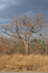 Montañas,paisajes,todo lo que vemos desde nuestra ventana mientras viajamos.