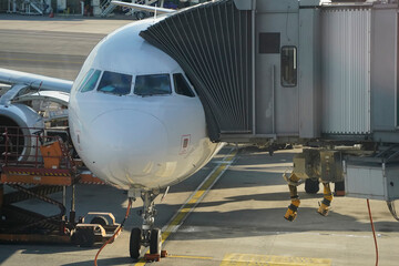 airplane detail parked at the gate