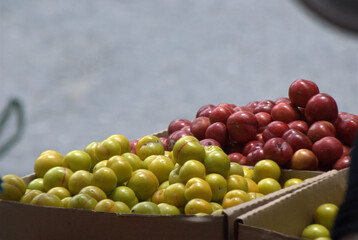 Frutas saludables y nutritivas,hay que comerlas siempre.