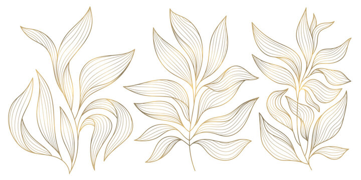 Vector gold leaves on white background isolated. Wavy drawn line branches, nature, plants luxury design elements
