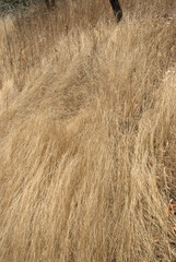 Texturas,detalles todas esas cosas que nos rodean.