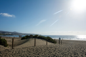 Fototapeta premium A path through the dunes to the sea with sun