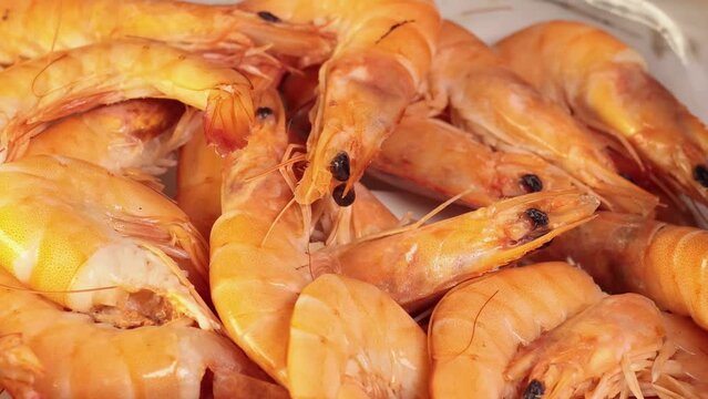 Tasty Shrimps on the plate. Fresh prawns, healthy seafood, close up, 4k footage.