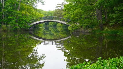 森と泉と太鼓橋の風景　北海道大沼小沼