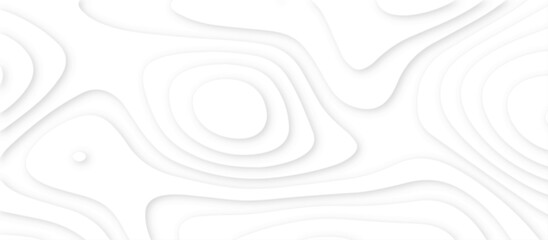 Abstract white background with paper cut out layers .Luxury paper cut background, Abstract decoration .Vector illustration. Material design. Paper cutting texture. Applicable for business banner.