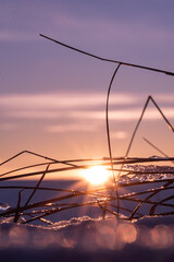 Naklejka premium Zum Sonnenaufgang im Schnee