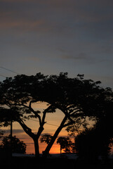 Viajando por la carretera,atardeceres y paisajes.