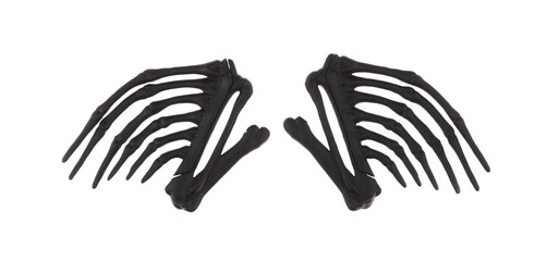 black skeleton of bird wings isolated on white background