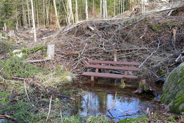 Sitzbank im Wasser, Wald, Baumsterben, Harz, nass, witzig, lustig, Spaß, Kneipp, nasse Füße