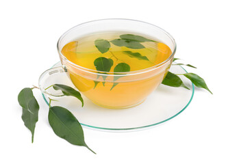 Fresh green tea in glass cup, leaves and saucer isolated on white