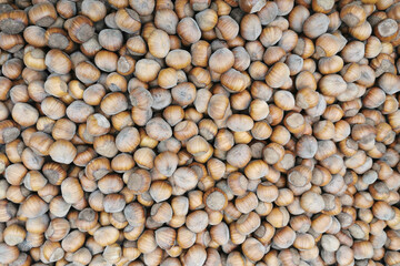 fresh natural hazelnuts texture