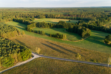 Dichter Wald von oben, Deutschland