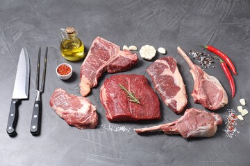 Fresh raw beef cuts, spices and butcher tools on light grey textured table, above view