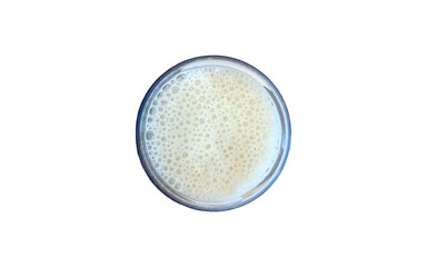 milk isolated on white background