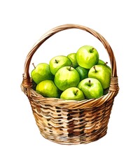 Watercolor illustration of a wicker basket with green apples isolated on white background.