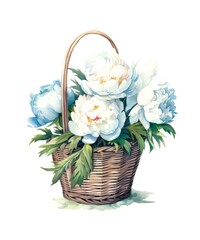 Fototapeta na wymiar Watercolor illustration of a wicker basket with bouquet of white peonies isolated on white background.