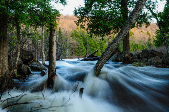 Raquette River At Flood Stage In Spring In  The Adirondack Mountains Of New York State