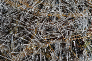 Closeup of ice, Silver Lake Wilderness Area, Adirondack Forest Preserve, New York, USA