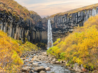 Svartifoss, famous Black waterfall, popular tourist spot in Iceland Skaftafel national park. Autumn, Fall