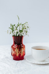red vase with snowdrops next to a white cup of coffee and saucer. White background