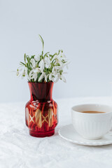 red vase with snowdrops next to a white cup of coffee and saucer. White background