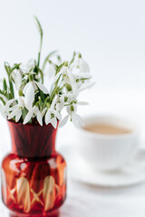red vase with snowdrops in the foreground, in the background a cup of coffee on a white background
