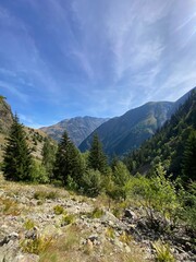 Vue pittoresque des Alpes : montagnes enneigées, forêt verdoyante, ciel nuageux, pic élevé, glacier, et rochers, avec un parc naturel en été