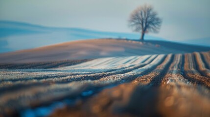 Selective blur on furrows on a Agricultural landscape near a farm, a plowed field in the countryside of Titelski, Serbia, - obrazy, fototapety, plakaty
