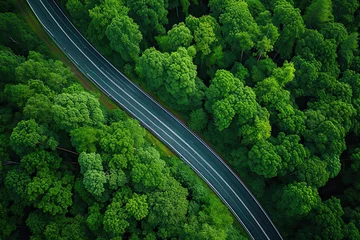 Fototapeten drone view of a highway through a green forest. road going through green forest adventure © Rangga Bimantara