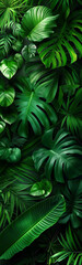 Fototapeta na wymiar abstract green background, Verdant Haven: Tropical Greenery, vertical wallpaper, green heaven