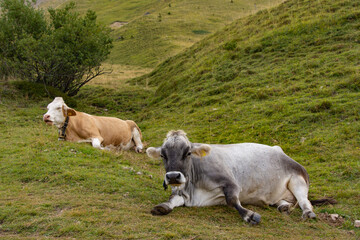 Passo San Pellegrino, Trentino Alto Adige 