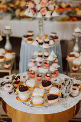 Almond cookies, sweet cakes for a wedding banquet. A delicious reception, a luxurious ceremony. Table with sweets and desserts. Delicious colorful French desserts on a plate or table. Candy bar.