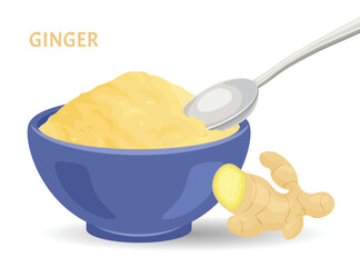 Ginger root, powder in bowl, spoon. Vector cartoon flat illustration of spicy spice seasoning. 
