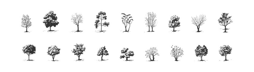 Tree silhouette set. Vector illustration design. - obrazy, fototapety, plakaty