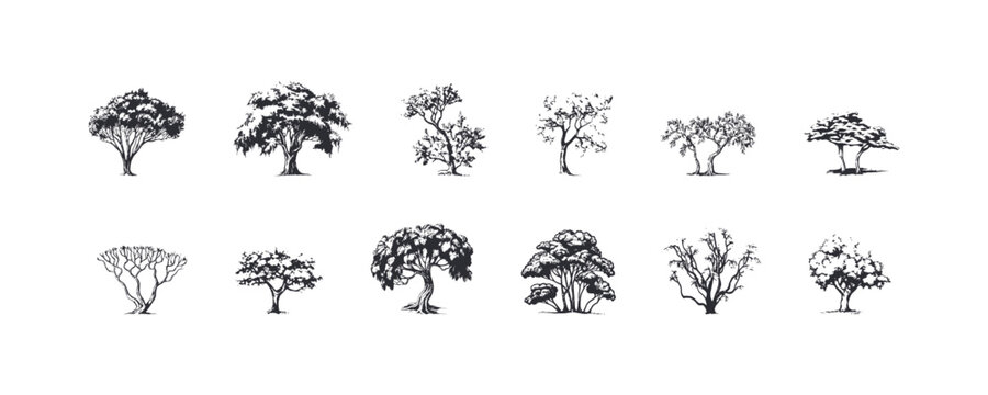 Silhouette of different trees set. Vector illustration design.