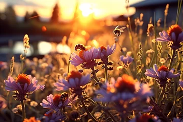 Foto op Aluminium bees and butterflies in a wild field of bright field flowers © wendi