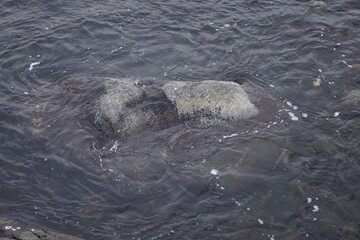 Norwegian Outdoors Stock 2024.01.22 Atlantic Ocean Road 0003