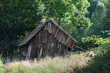 Old abandoned barn on the edge of the forest in summer time.